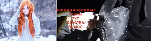 гидропоника Алексеевка
