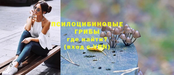 МДПВ Семёнов